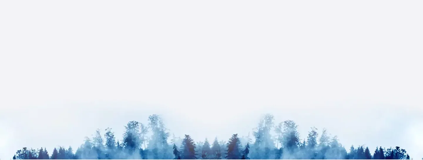 พื้นหลังส่วนลูกค้า MAX SOLUTION